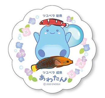 雨の日限定企画！ 雨が降ったら“えのすい”へ行こう！