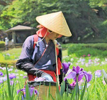 早乙女姿で花摘み体験の画像