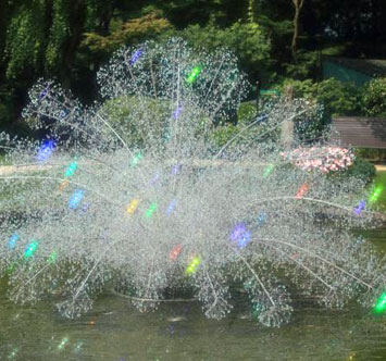 箱根ガラスの森美術館 クリスタル・ガラスの水上花火の画像