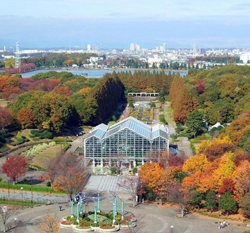 相模原公園の紅葉
