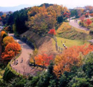 秦野戸川公園の紅葉