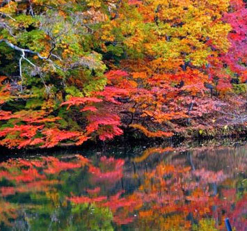 震生湖の紅葉の画像