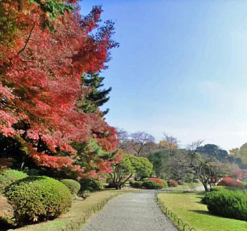 新宿御苑の紅葉