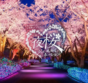 夜桜ジュエルミネーションの画像