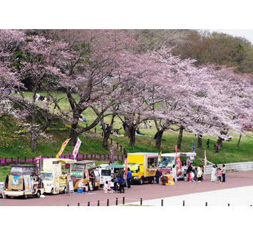 こどもの国 60th桜と羊のフェスティバル