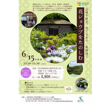 花ショウブをたのしむの画像