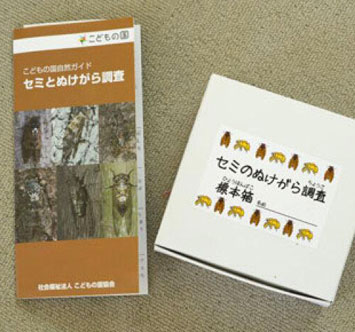 こどもの国 セミのぬけがら調査