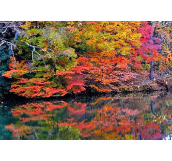 震生湖の紅葉