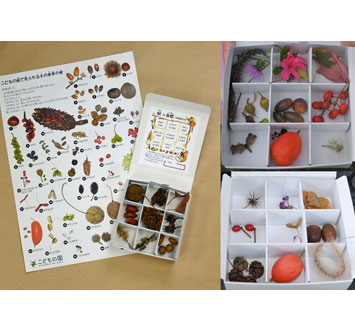 こどもの国 秋の自然つめあわせの画像