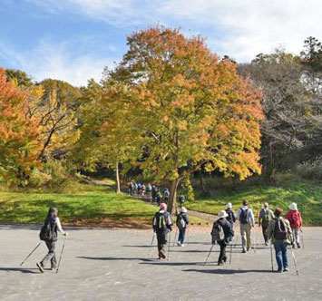 こどもの国 ノルディックウォーキング歩こう会（12月）