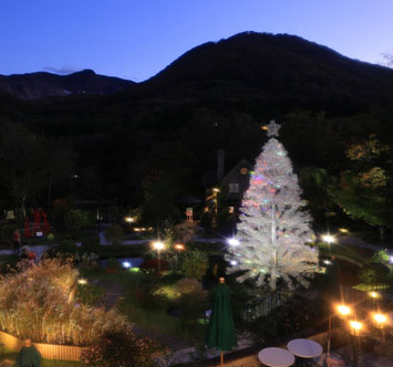 箱根ガラスの森美術館 クリスタル・ガラスのクリスマスツリー