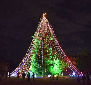 第39回宮ヶ瀬クリスマスみんなのつどいの画像