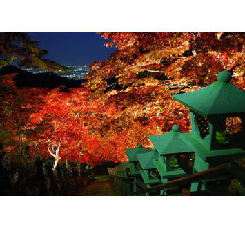 大山地区紅葉ライトアップ