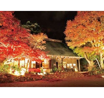 緑水庵 紅葉ライトアップ