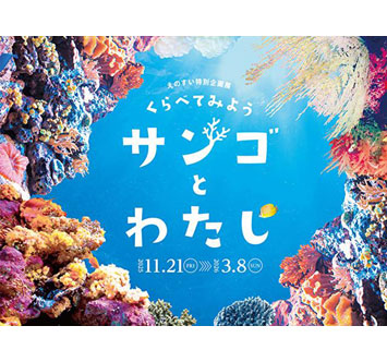 えのすい特別企画展 くらべてみよう サンゴとわたしの画像