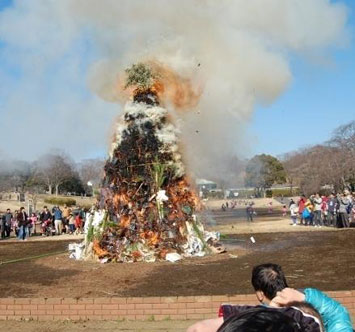 こどもの国 60th どんど焼き