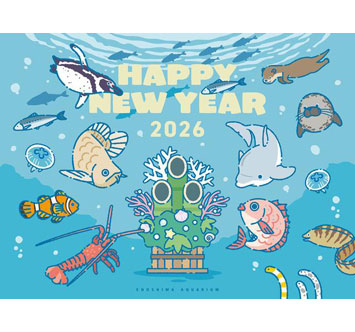 えのすいのお正月