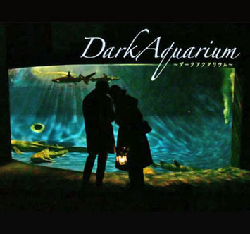 新江ノ島水族館 DarkAquarium －ダークアクアリウム－