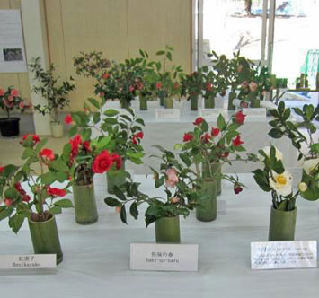 こどもの国 ツバキまつり