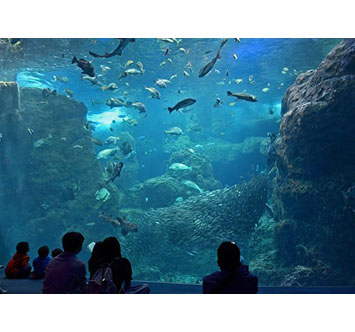 朝がお得！も～にゃんぐえのすいの画像