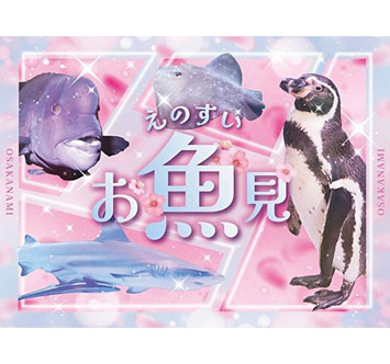 新江ノ島水族館 水族館で花を探そう！えのすいお魚見の画像