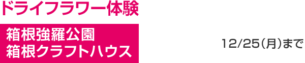 ドライフラワー体験 箱根強羅公園 箱根クラフトハウス