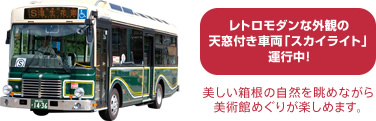 レトロモダンな外観の天窓付き車両「スカイライト」運行中！美しい箱根の自然を眺めながら美術館めぐりが楽しめます。