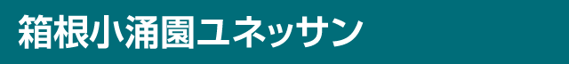 箱根小涌園ユネッサン