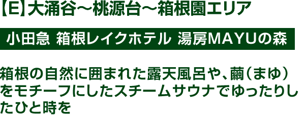 【E】大涌谷~桃源台~箱根園エリア 大涌谷~桃源台~箱根園エリア 小田急 箱根レイクホテル 湯房MAYUの森