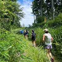 HAKONATURE FOREST CRUISE