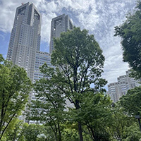 新宿中央公園のイベント情報