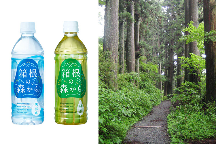 「箱根の森から」と箱根旧街道杉並木
