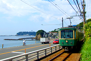 Enoshima and Kamakura Sightseeing Guide