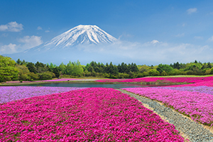 富士山和河口湖地图景点指南