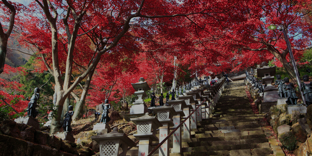 丹泽大山