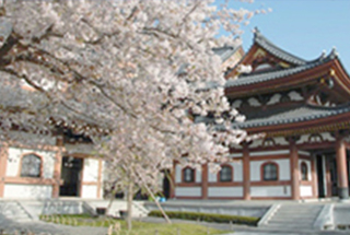 Hase-dera Temple