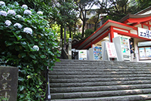 The Enoshima-Kamakura Freepass is valid for unlimited rides throughout the designated area.