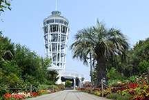The Enoshima-Kamakura Freepass is valid for unlimited rides throughout the designated area.