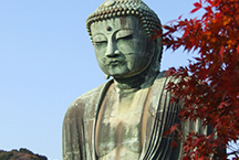 The Enoshima-Kamakura Freepass is valid for unlimited rides throughout the designated area.