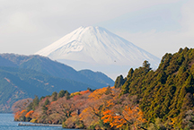 Use this pass for more affordable enjoyment of the Odakyu Line and various transportation in Fuji-Hakone area.