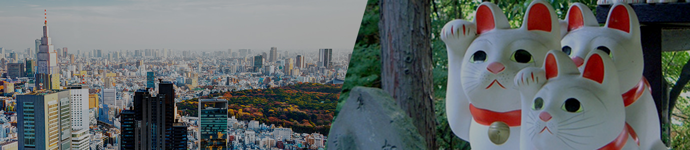 Greater Tokyo Pass