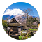 富士地區