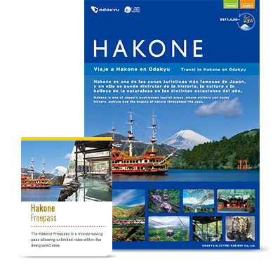 Image result for Hakone pass