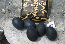 持箱根周遊券，即可在指定的區域間不限次數上下車，非常划算。