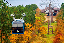 Use this pass for more affordable enjoyment of the Odakyu Line and various transportation in Hakone, Enoshima and Kamakura.