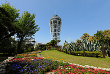 江之島自動扶梯，江之島瞭望燈塔套票，是推薦給想輕鬆又經濟地暢玩江之島的旅客。