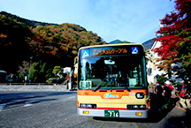 丹泽/大山周游券覆盖了广阔范围的交通网，观光、赏枫、徒步旅游都非常方便。