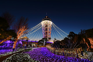 Enjoy the magnificent view from the Enoshima Sea Candle