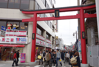 小町通街道。