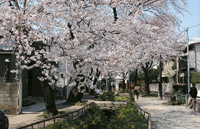 Kitazawa Riverwalk